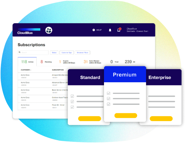 customize-solution-portfolio