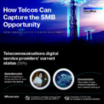 Telcos Infographic